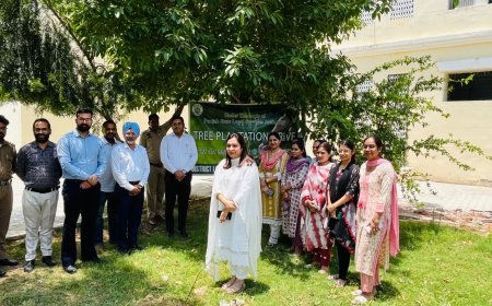 ਵੱਧ ਤੋਂ ਵੱਧ ਲਗਾਏ ਜਾਣ ਰੁੱਖ ਤੇ ਇਨ੍ਹਾਂ ਦੀ ਸਾਂਭ-ਸੰਭਾਲ ਵੀ ਕੀਤੀ ਜਾਵੇ - ਮਾਣਯੋਗ ਜਸਟਿਸ ਸ਼੍ਰੀ ਦੀਪਕ ਸਿੱਬਲ